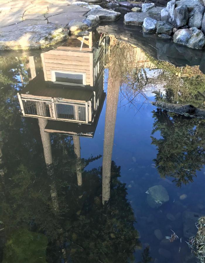 The Secret Garden Treehouse Apartment North Vancouver Exterior foto
